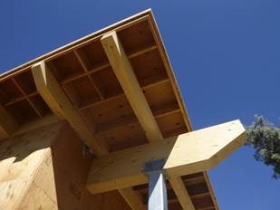 sitepicture2